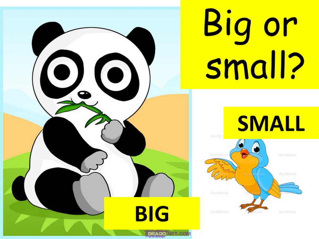 BIG SMALL Big or small?